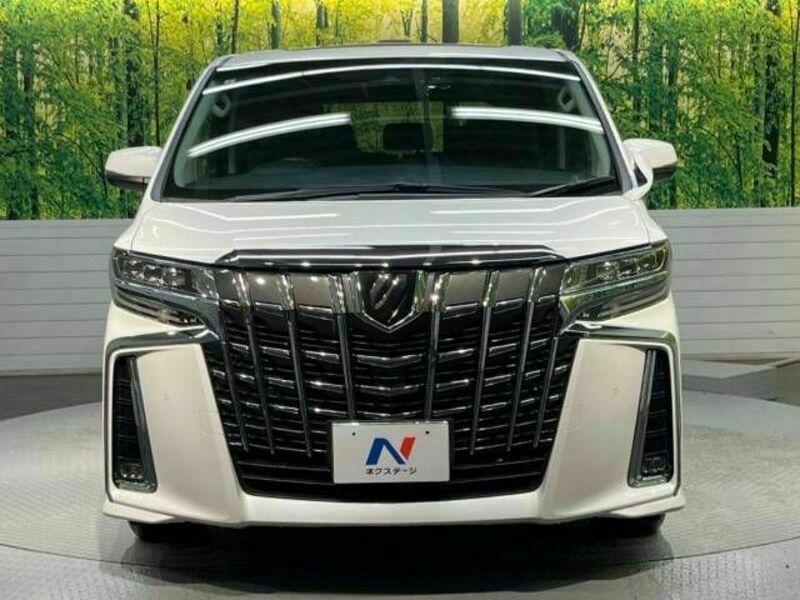 ALPHARD-15