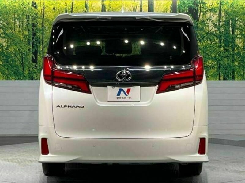 ALPHARD-16