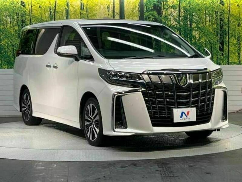 ALPHARD-17