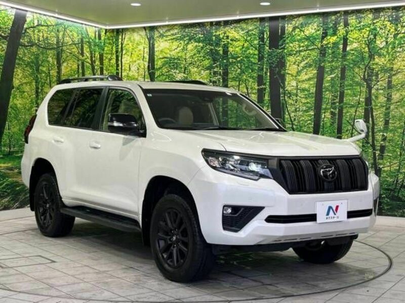 LAND CRUISER PRADO-17