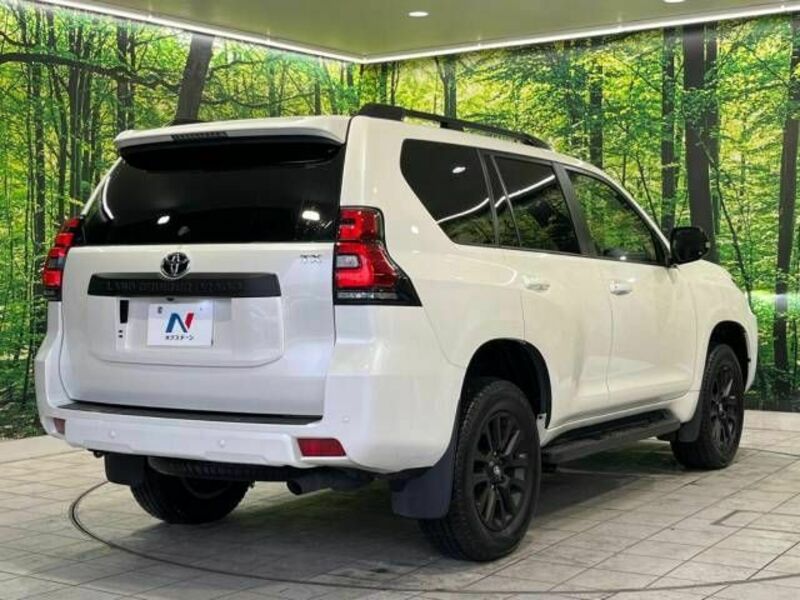 LAND CRUISER PRADO-18