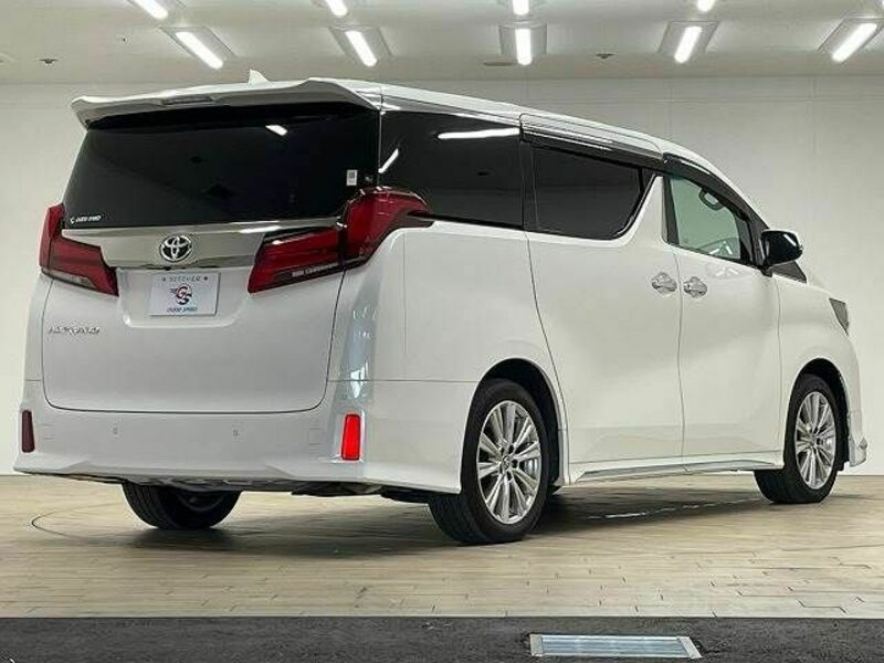 ALPHARD-16