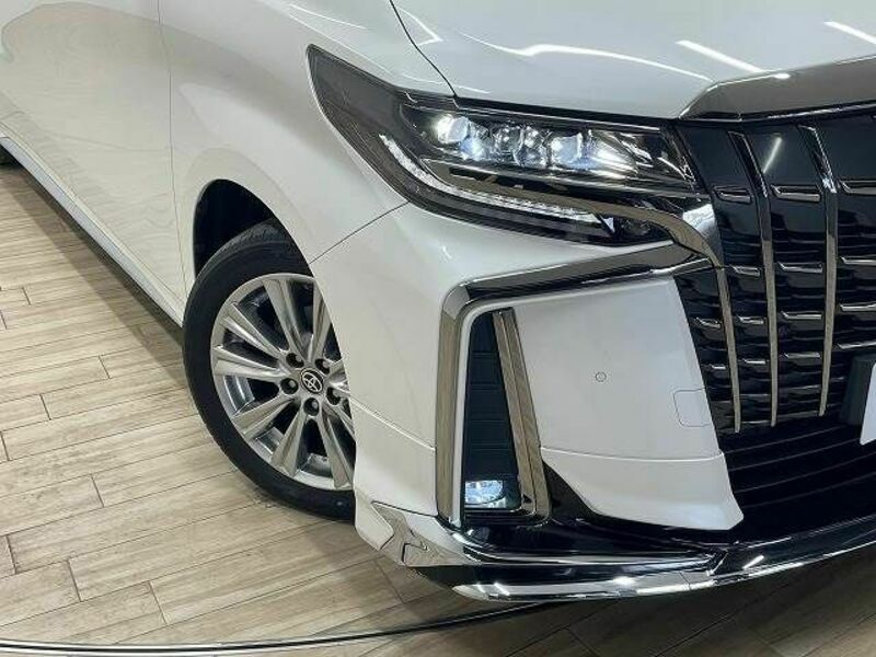 ALPHARD-19