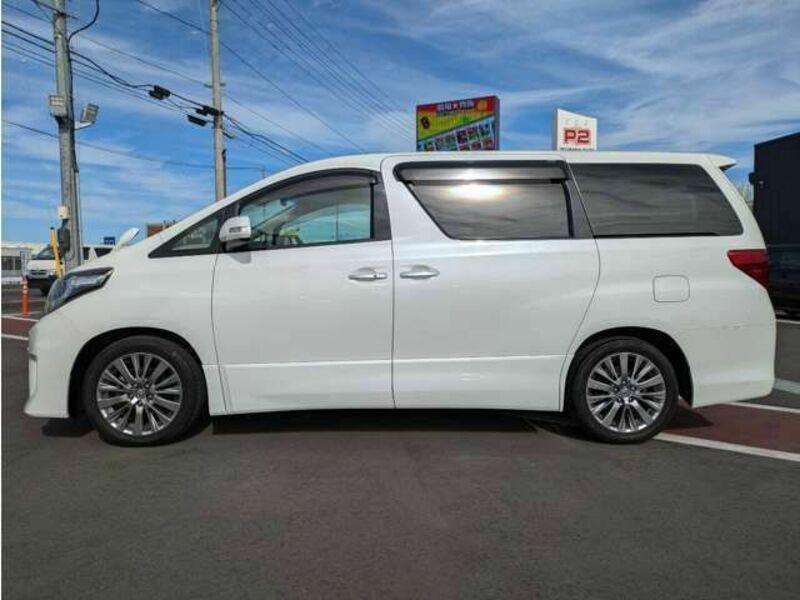 ALPHARD-3