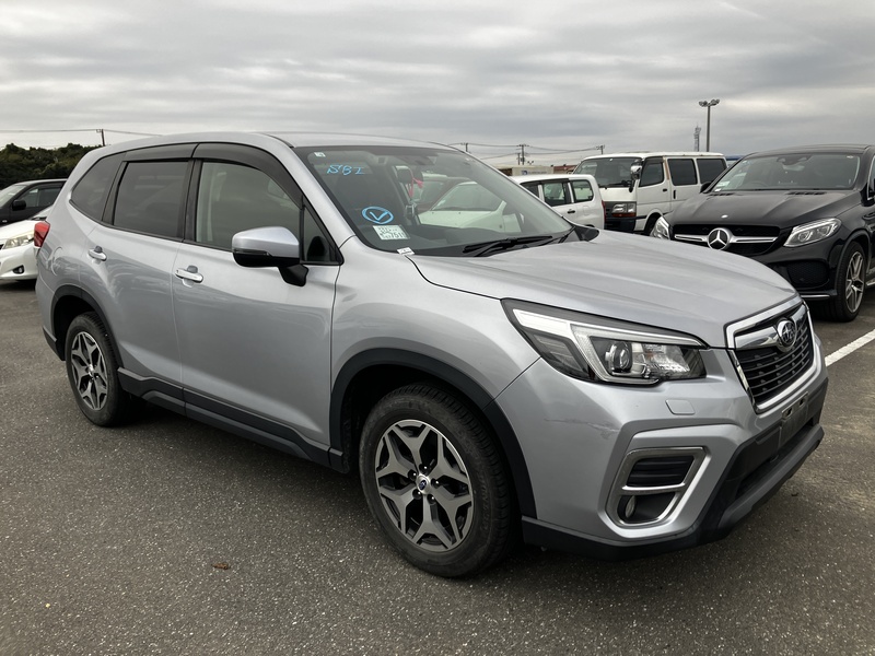 FORESTER-1