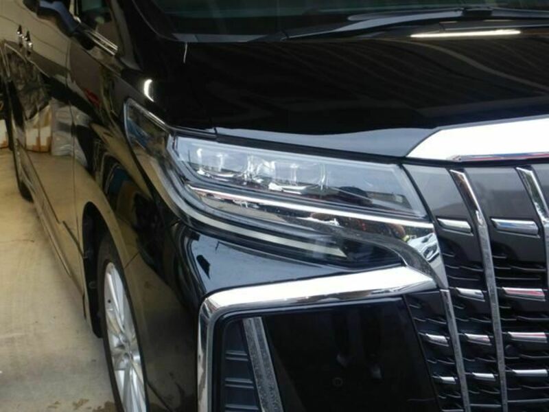 ALPHARD-25