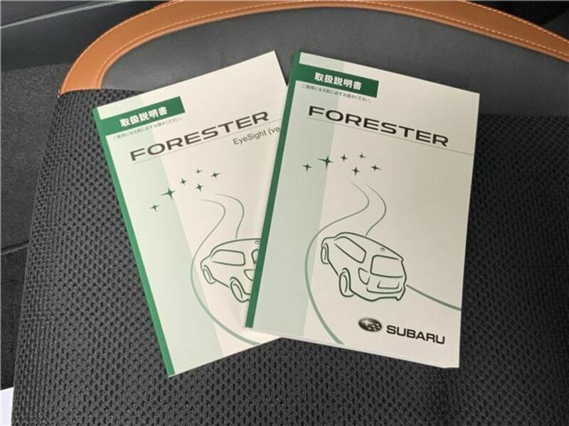 FORESTER-48