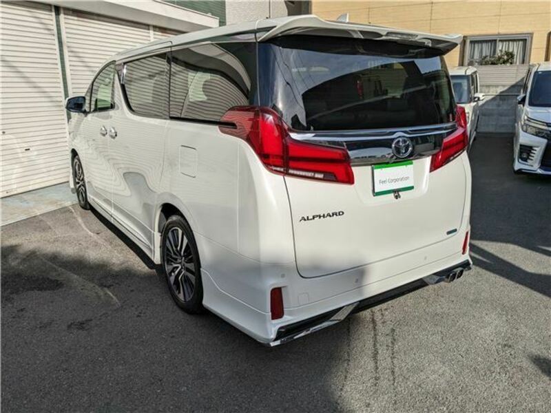 ALPHARD-6