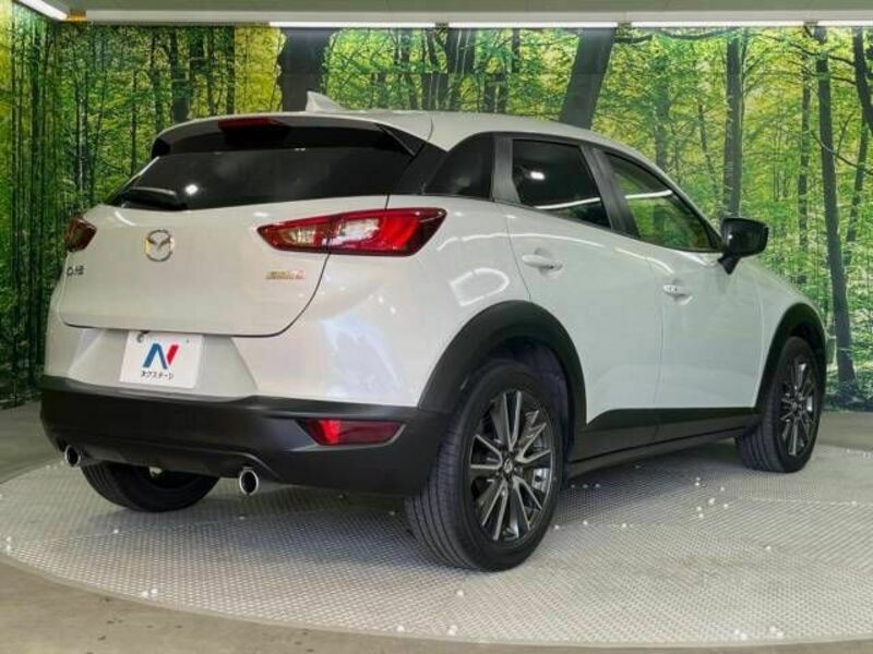 CX-3-17