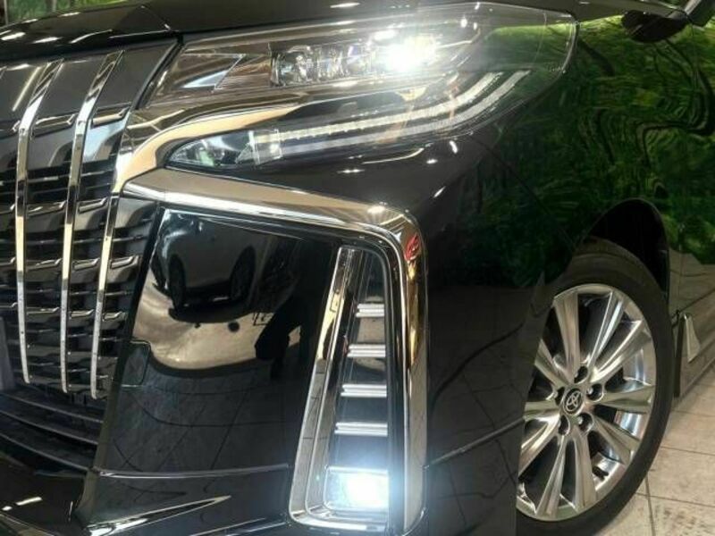 ALPHARD-11