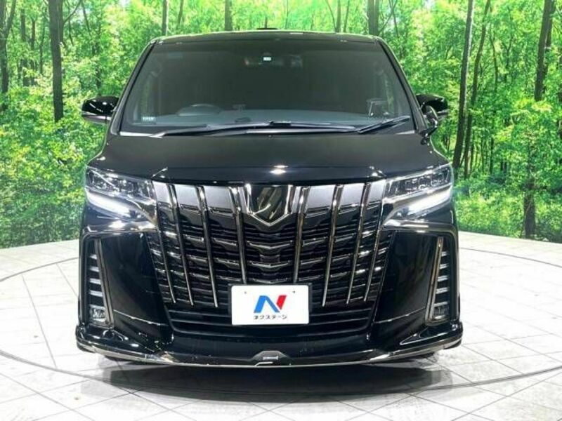 ALPHARD-17