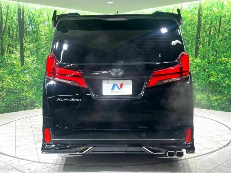 ALPHARD-18