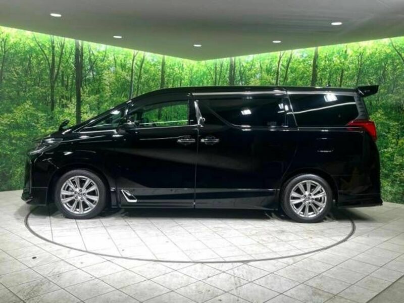 ALPHARD-19