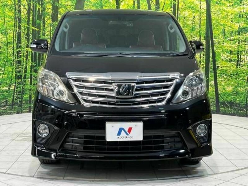 ALPHARD-15