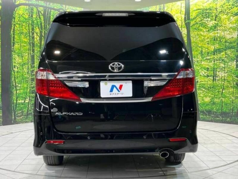 ALPHARD-16