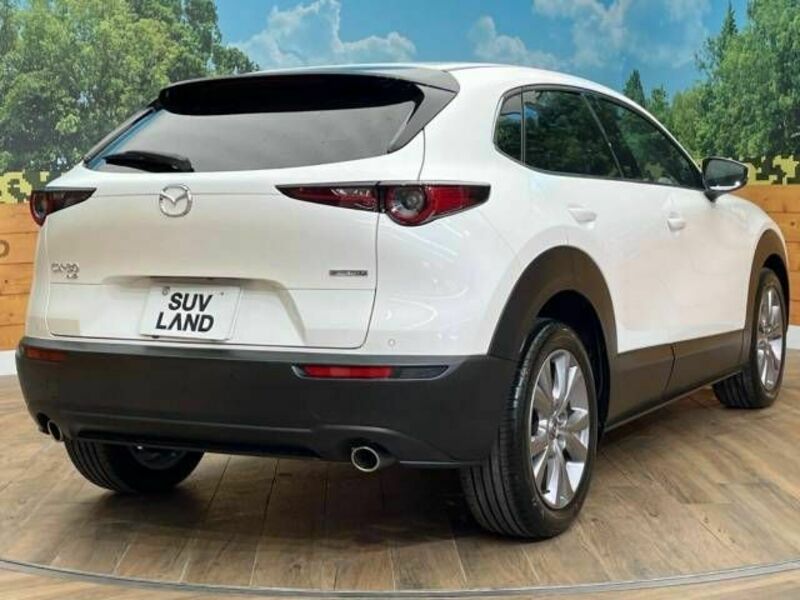 CX-30-17