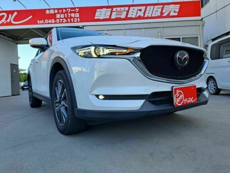 CX-5-19