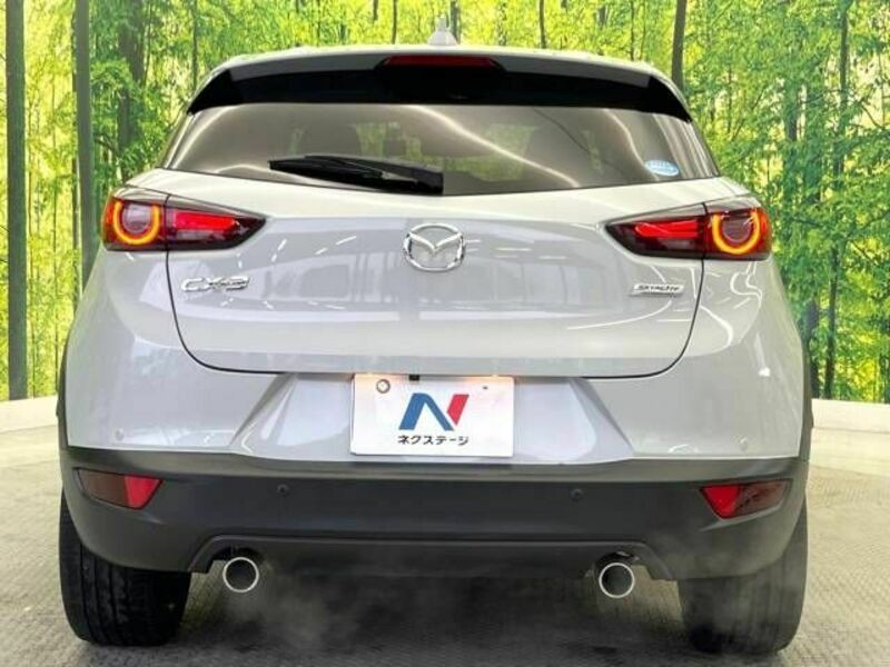 CX-3-15