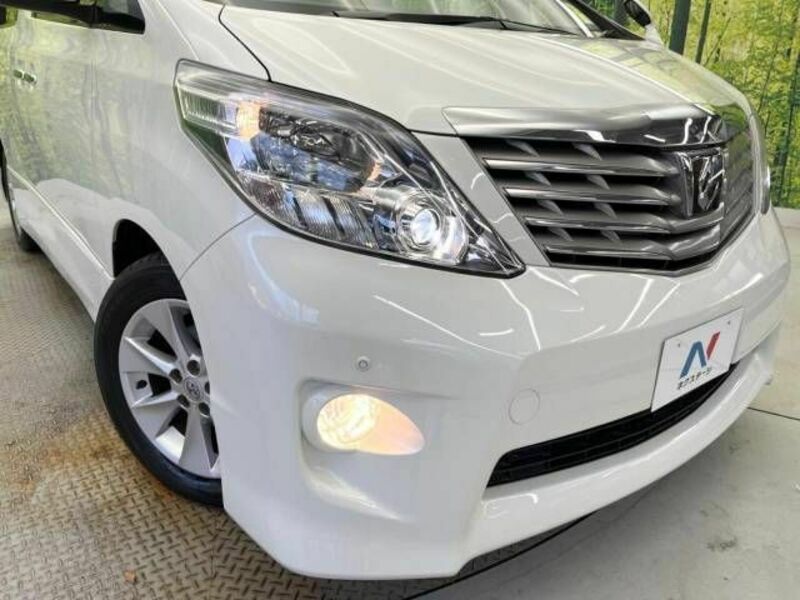 ALPHARD-13