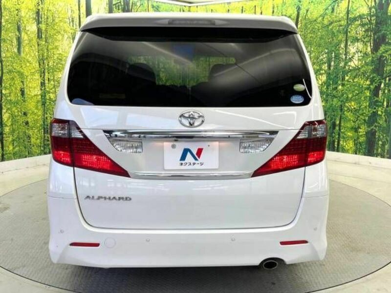 ALPHARD-16