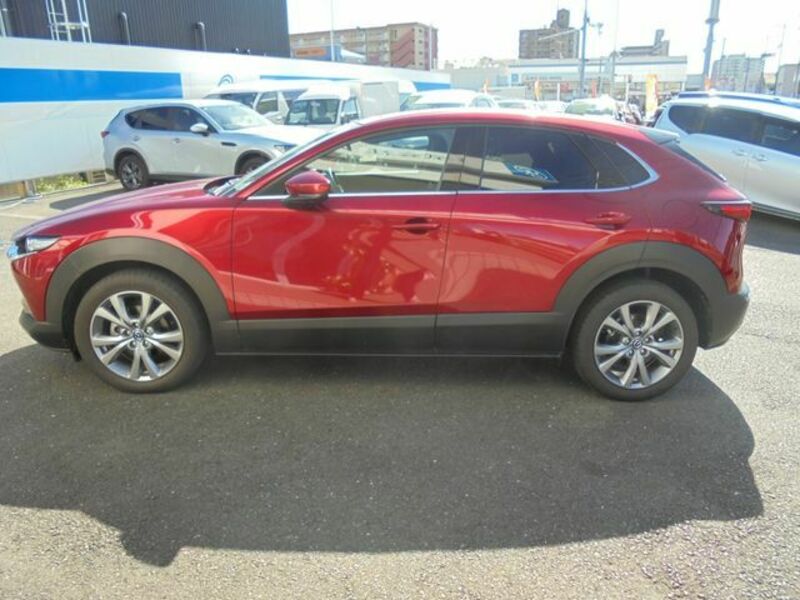 CX-30-8