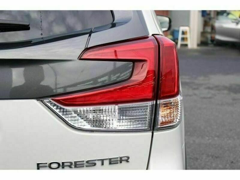 FORESTER-11