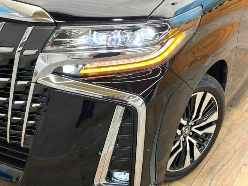 ALPHARD-13