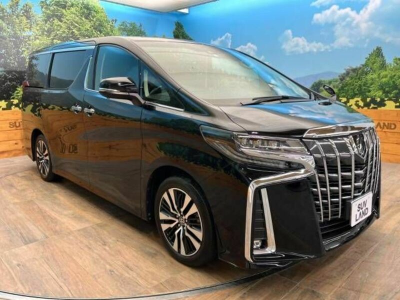 ALPHARD-17