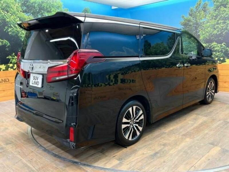 ALPHARD-18