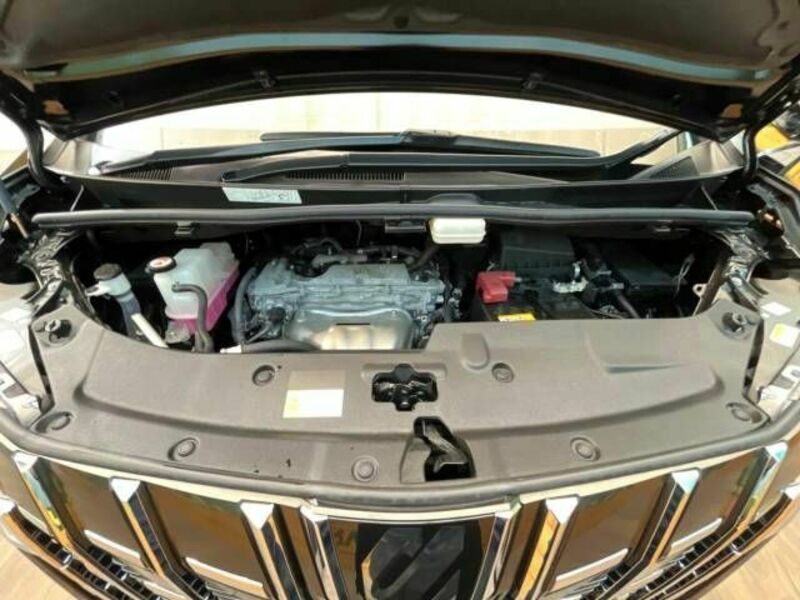 ALPHARD-19