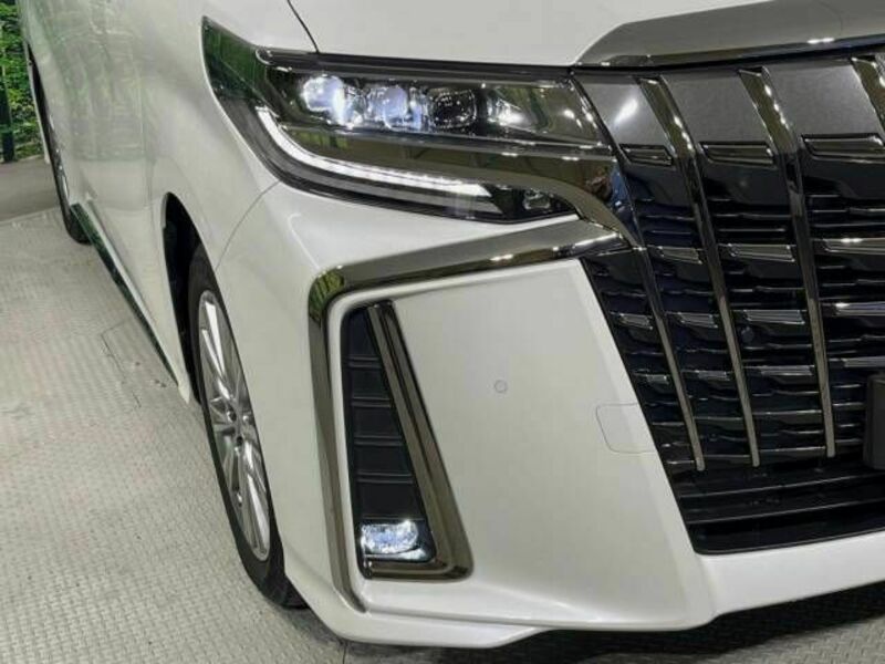 ALPHARD-8