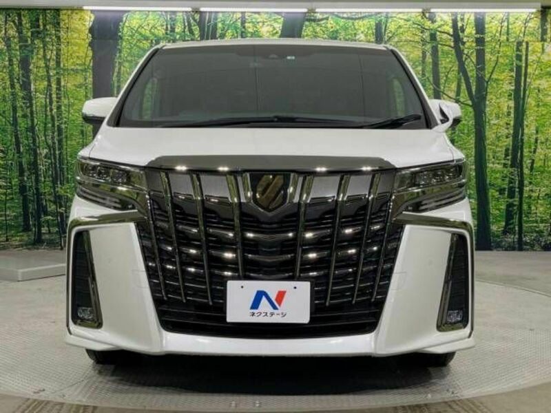 ALPHARD-14