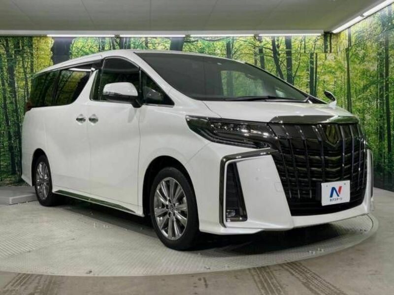 ALPHARD-16