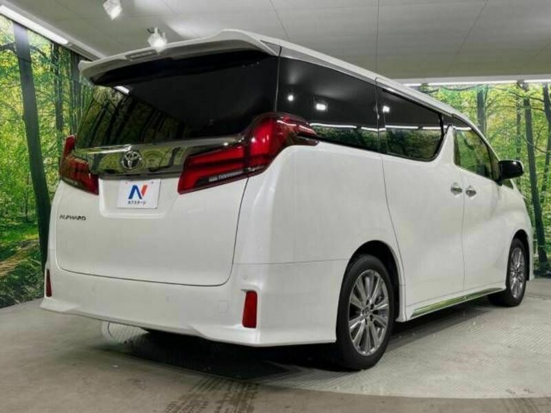 ALPHARD-17