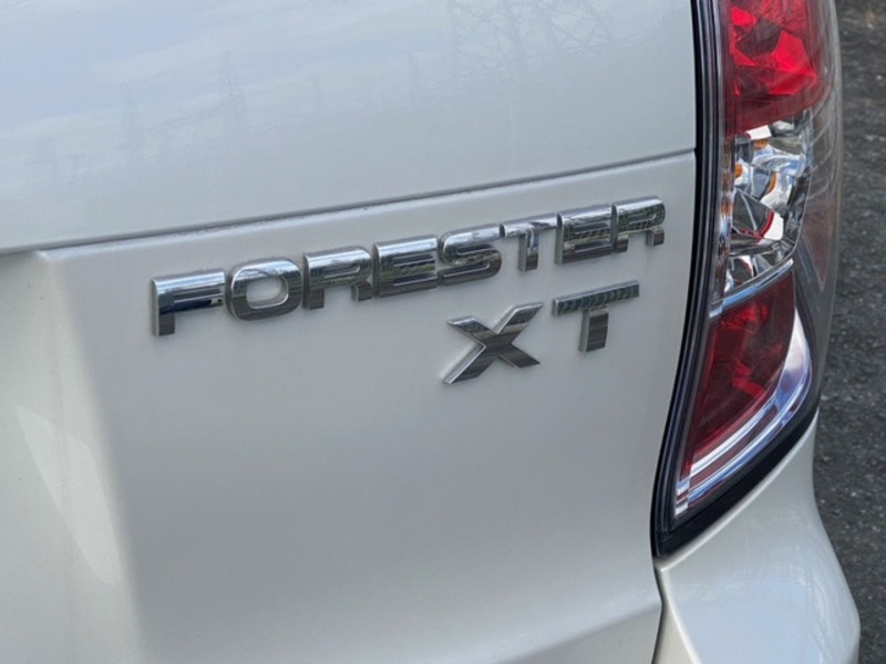 FORESTER-16