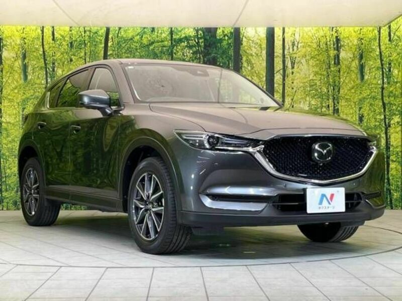 CX-5-14