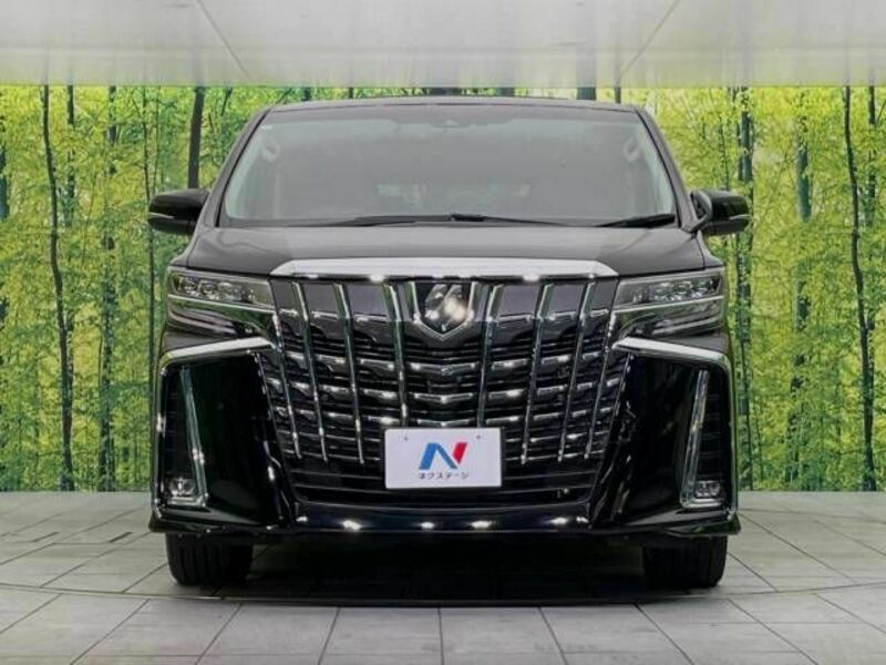 ALPHARD-15