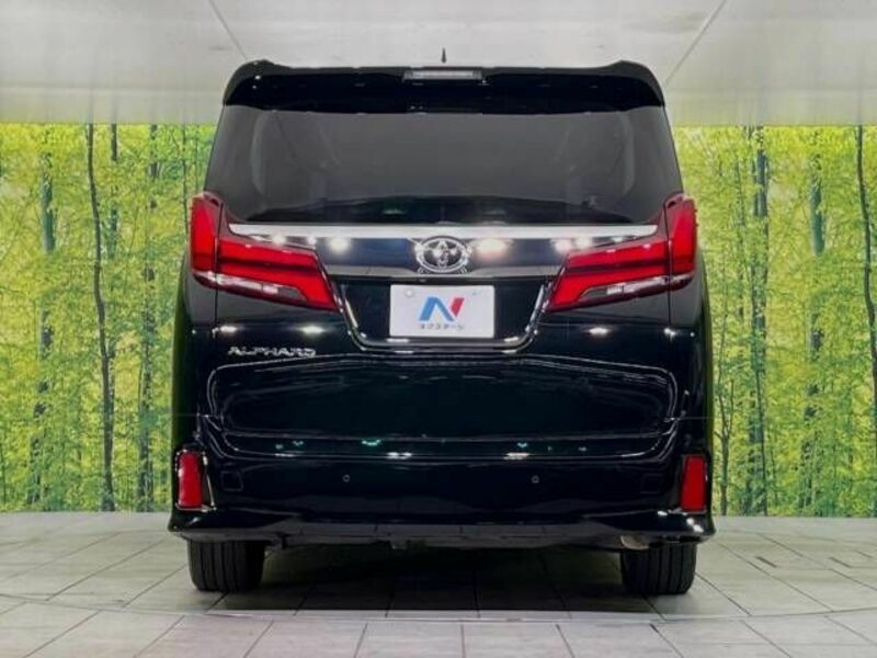 ALPHARD-16