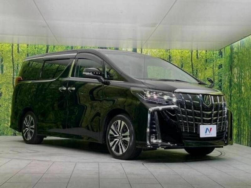 ALPHARD-17