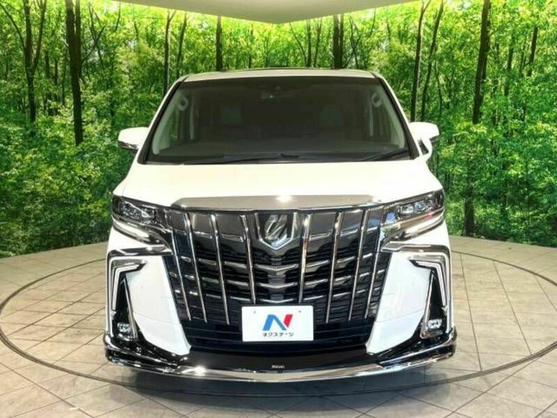 ALPHARD-19