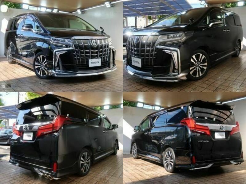 ALPHARD-3