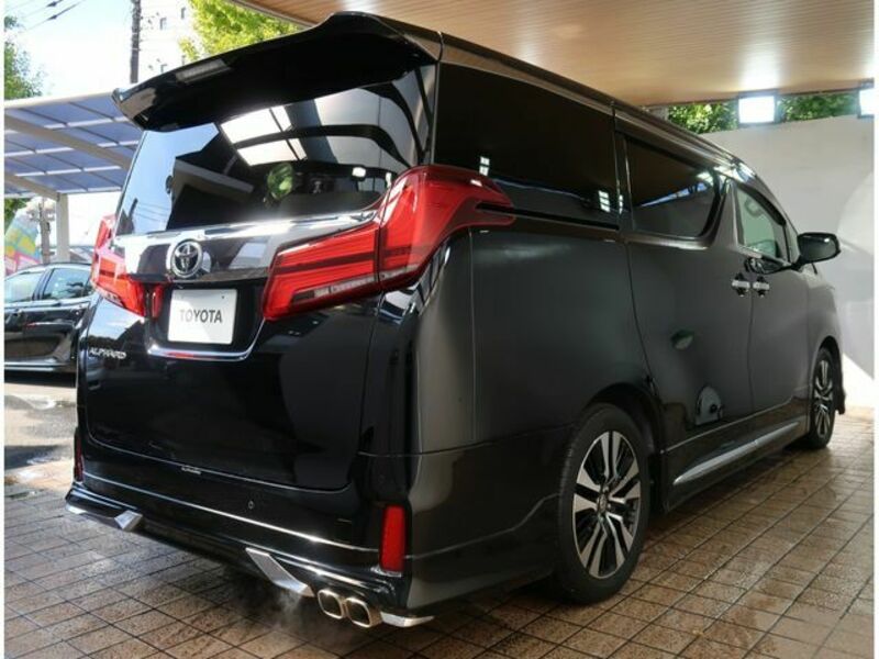 ALPHARD-11