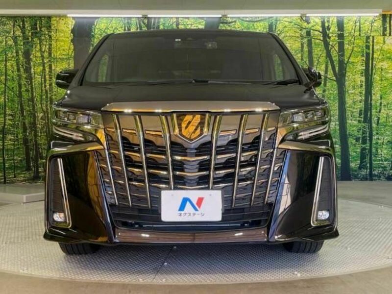 ALPHARD-14