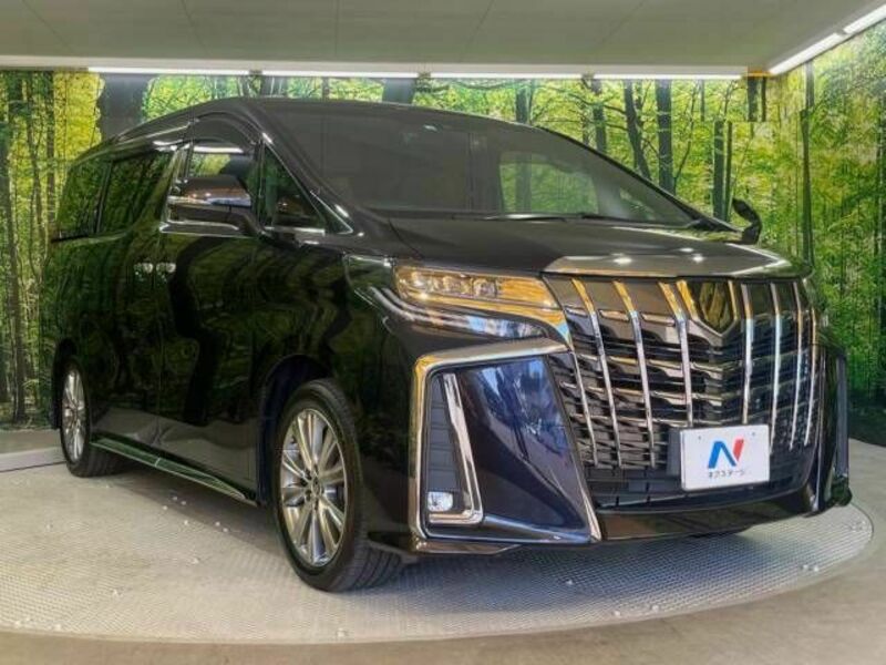 ALPHARD-16