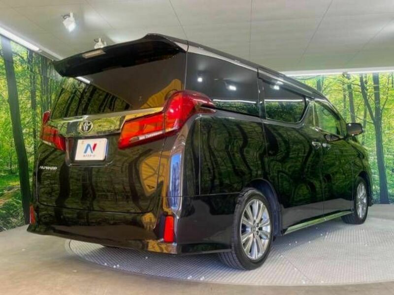 ALPHARD-17