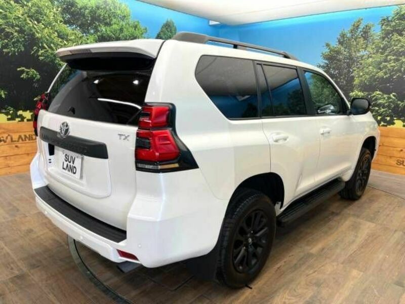 LAND CRUISER PRADO-18