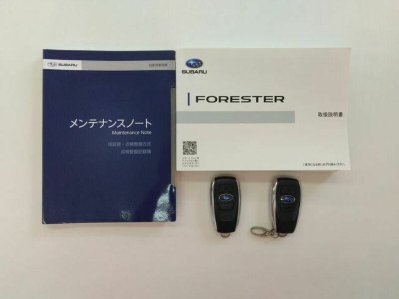 FORESTER-19