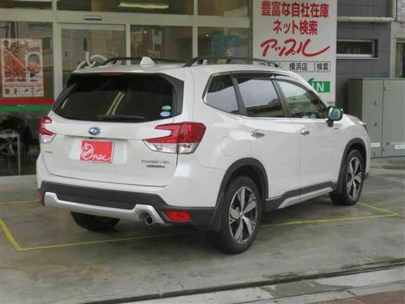 FORESTER-3