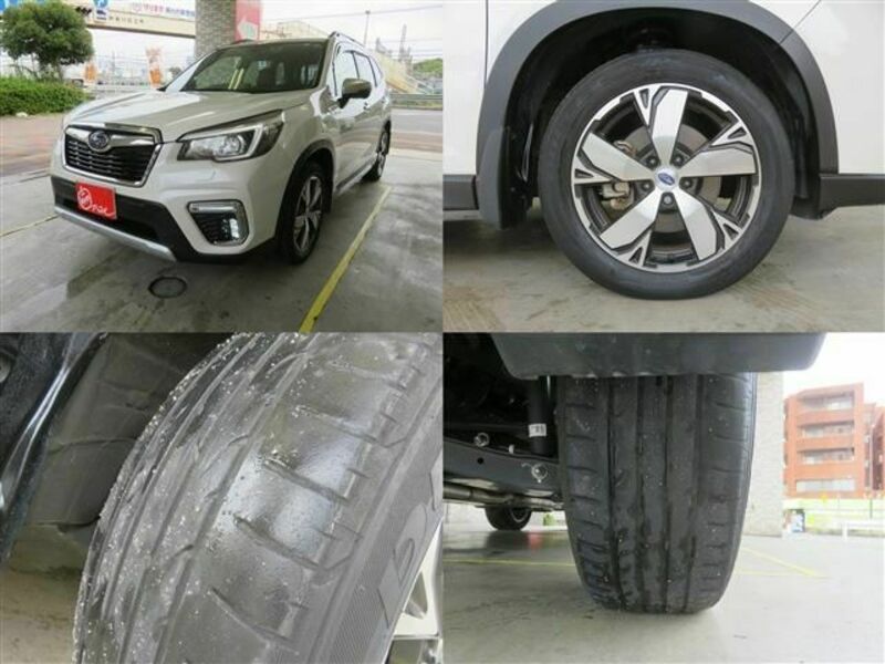 FORESTER-4