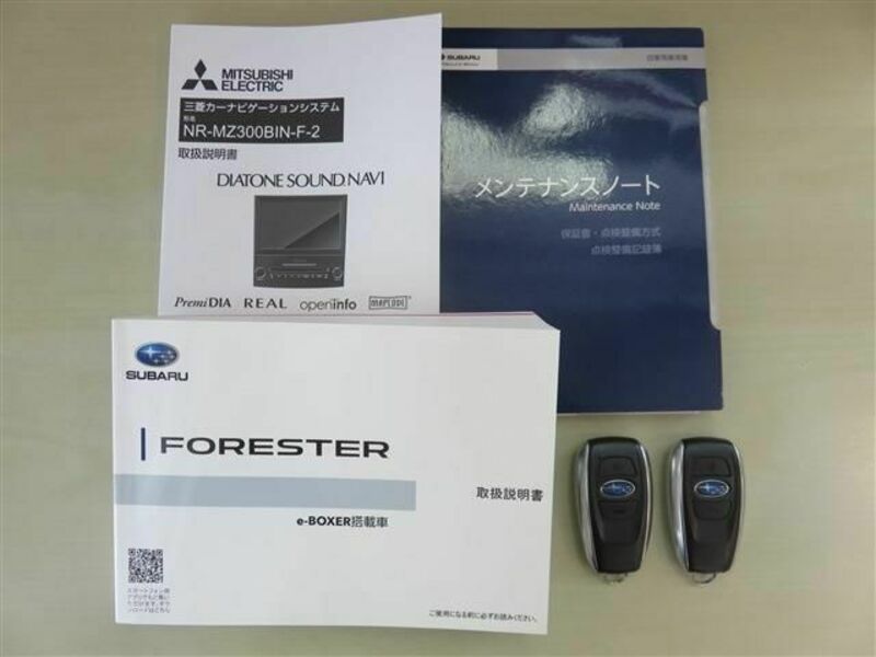 FORESTER-19